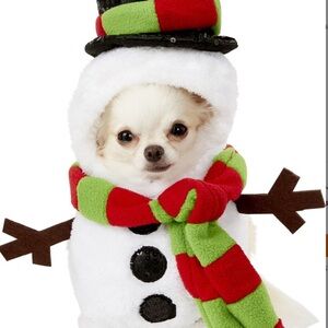 Walking Snowman Frosty Christmas Pet Costume